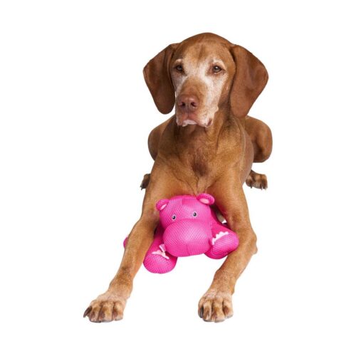 Canada Pooch Pals Cooling Chill Seeker Pink Hippo Dog Toy - Image 3