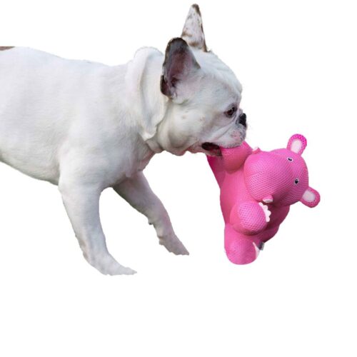 Canada Pooch Pals Cooling Chill Seeker Pink Hippo Dog Toy - Image 2