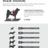 Outward Hound Pupsaver Lifejacket, Medium - Image 4