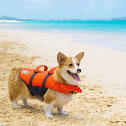 Outward Hound Pupsaver Lifejacket, Medium - Image 2