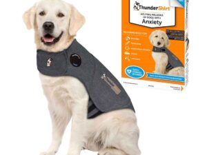 ThunderShirt® Heather Gray, Extra Large