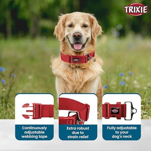 Bark Buster Collar for Dogs - Image 2