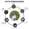 Fruitful Fun Pet Toys - Image 3