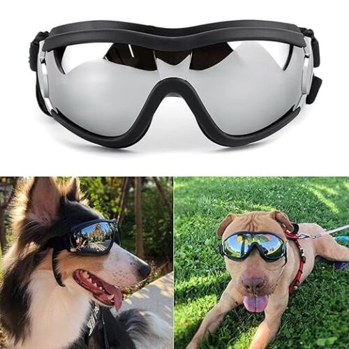 Pawsitive Shades for Pets