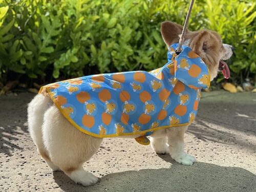 Rain Paws Hooded Pet Raincoat - Image 3