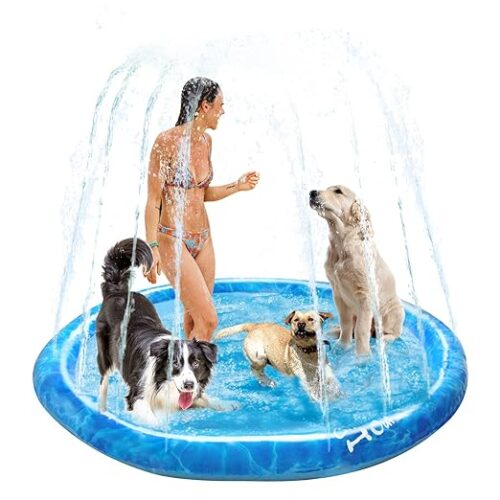 Splash Paws Pet Splash Pad