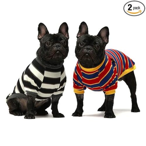 Striped Paws Tee for Pets