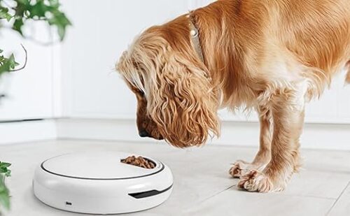 VersaFeast Multi-Purpose Pet Feeder - Image 2