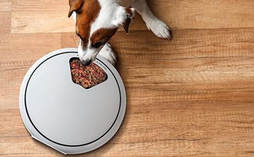 VersaFeast Multi-Purpose Pet Feeder - Image 3