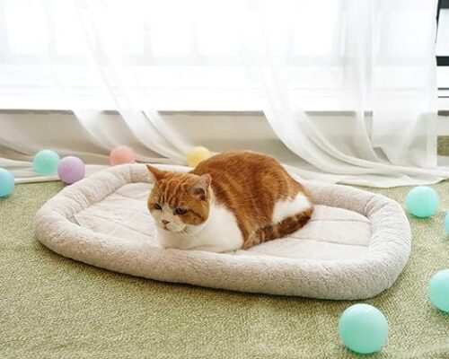 Wash & Wear Pet Lounger - Image 3